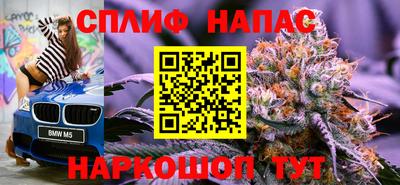 амф Новозыбков