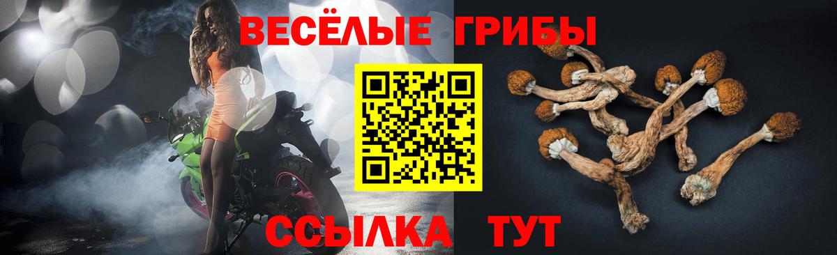 Псилоцибиновые грибы MAGIC MUSHROOMS  Вход с VPN  Торжок  Псилоцибиновые грибы прущие грибы 